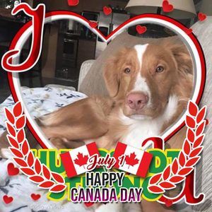 Meet your Posher, Agnes